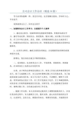 公司会计工作总结