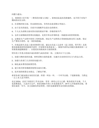 公司会计年度个人工作报告