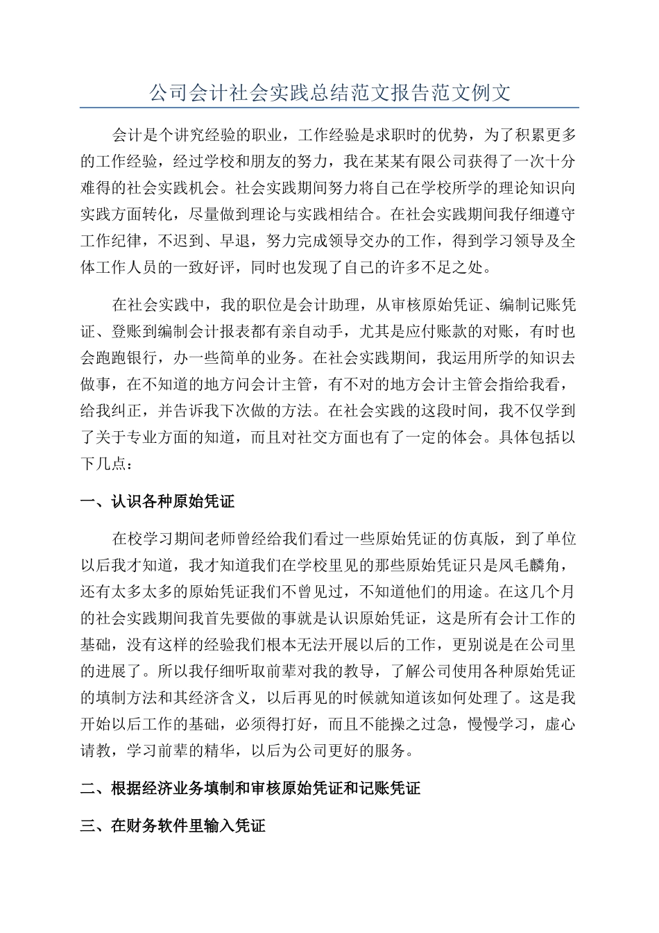 公司会计社会实践总结范文报告范文例文_第1页