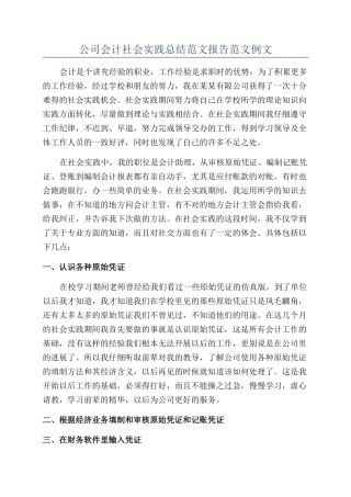 公司会计社会实践总结范文报告范文例文