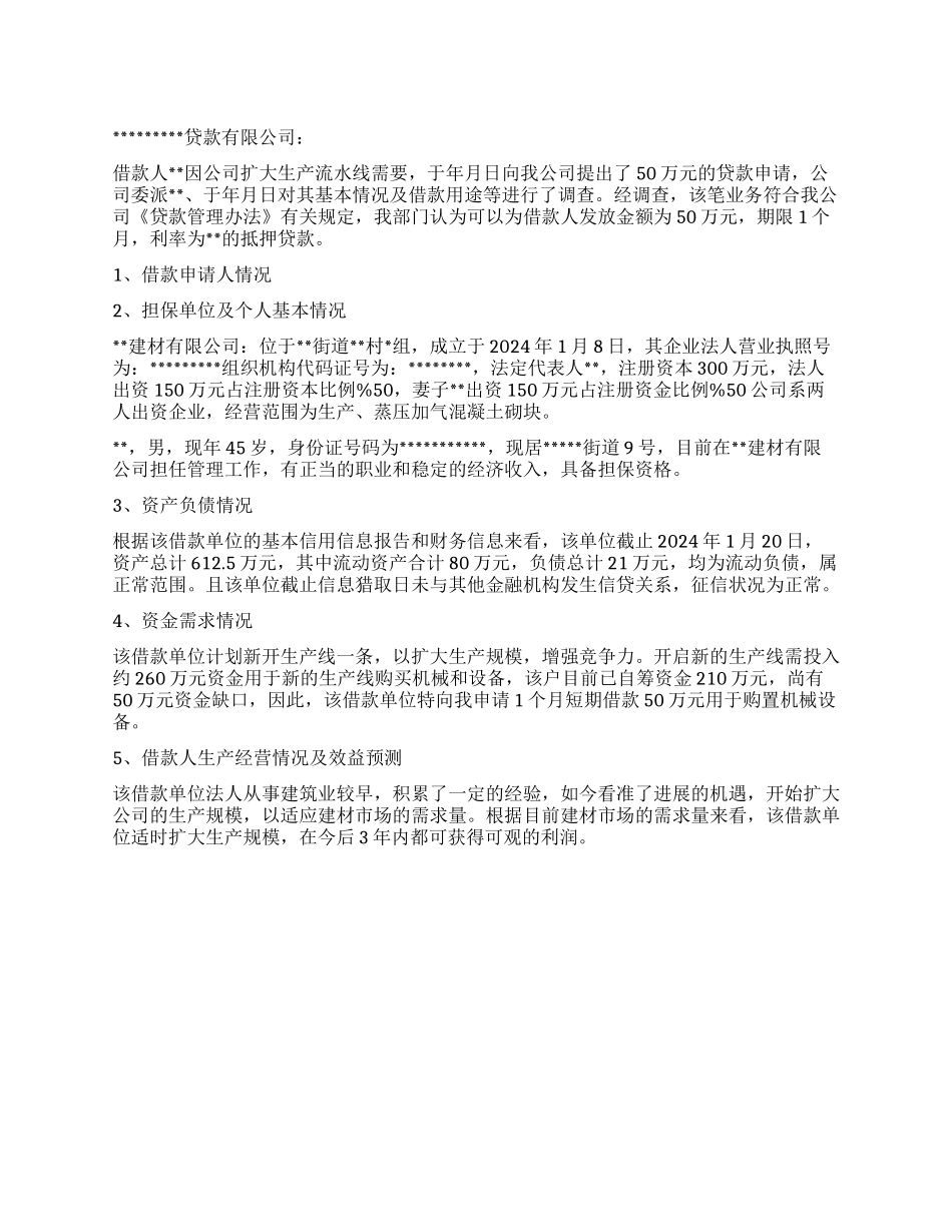 公司借款资质调查报告_第1页