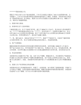 公司借款资质调查报告