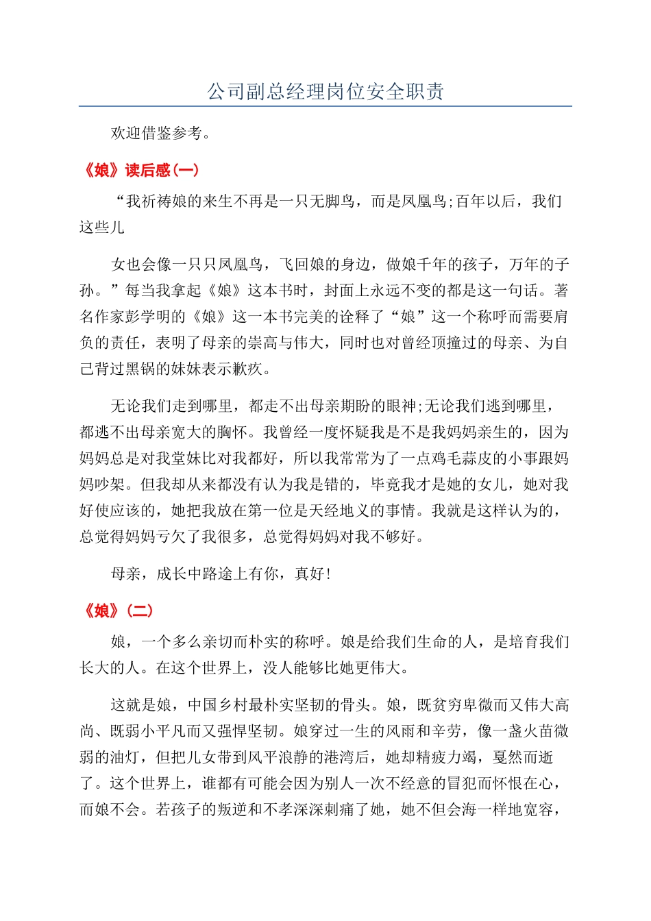 公司副总经理岗位安全职责_第1页
