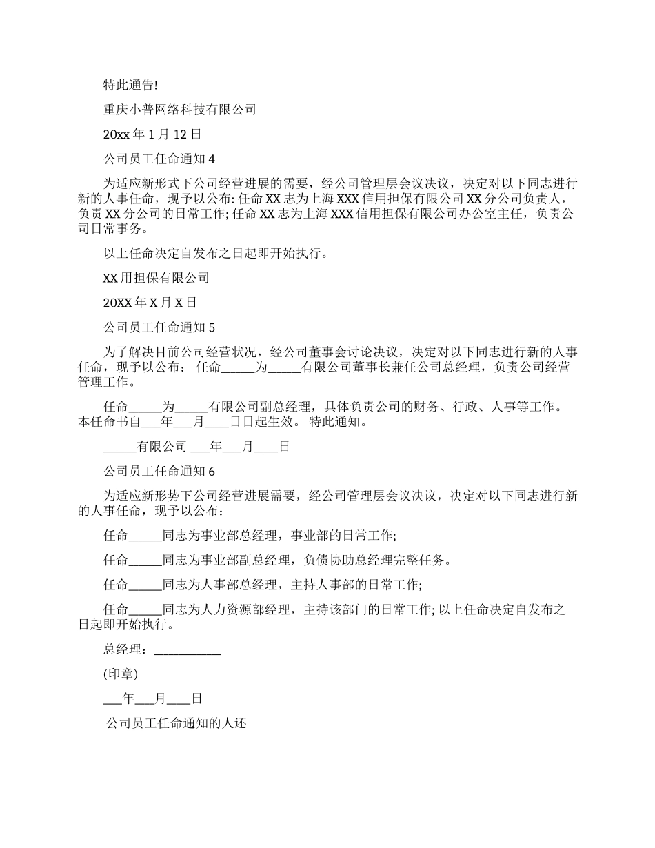 公司员工任命通知范文6篇_第2页
