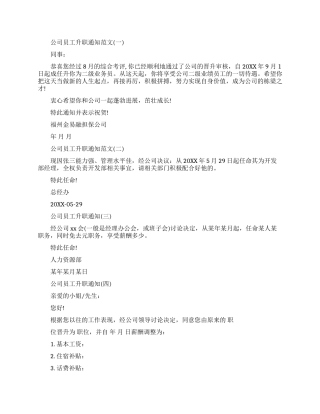 公司员工升职公告范文标准