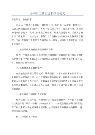 公司员工转正述职报告范文