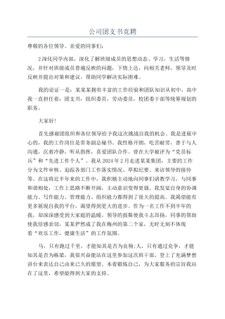 公司团支书竞聘