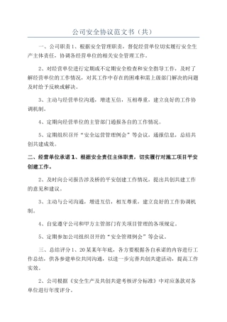 公司安全协议范文书（共）