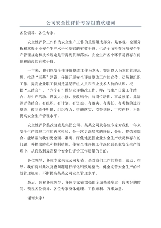 公司安全性评价专家组的欢迎词