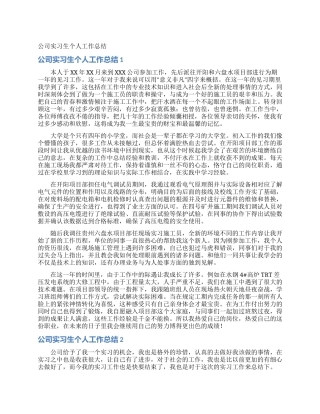 公司实习生个人工作总结