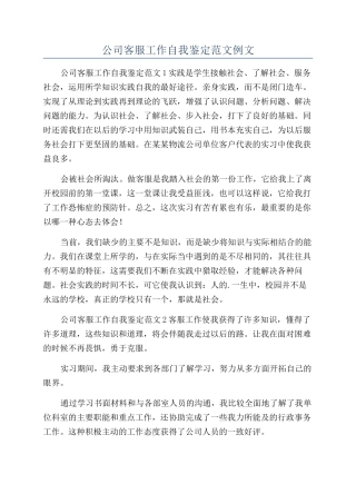 公司客服工作自我鉴定范文例文