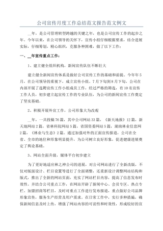 公司宣传月度工作总结范文报告范文例文