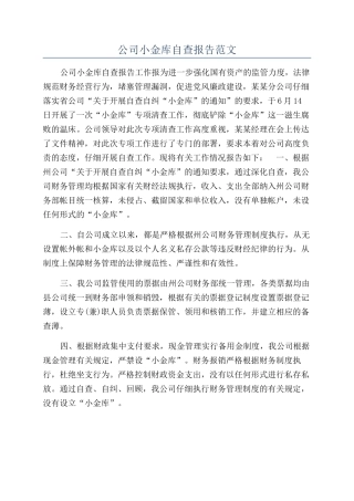 公司小金库自查报告范文