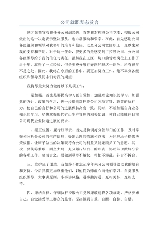 公司就职表态发言