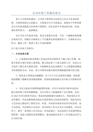 公司年度工作报告范文
