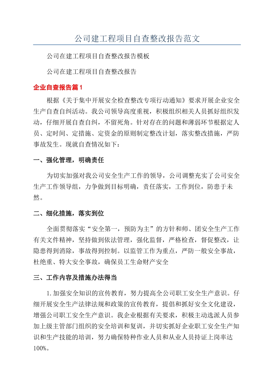 公司建工程项目自查整改报告范文_第1页