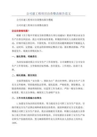 公司建工程项目自查整改报告范文