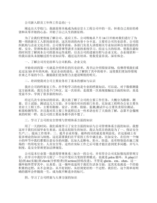 公司新入职员工年终工作总结2024