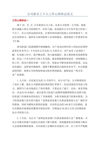 公司新员工个人工作心得体会范文