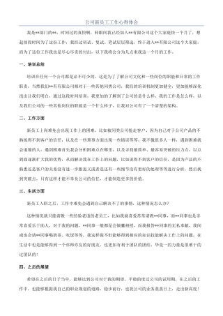 公司新员工工作心得体会