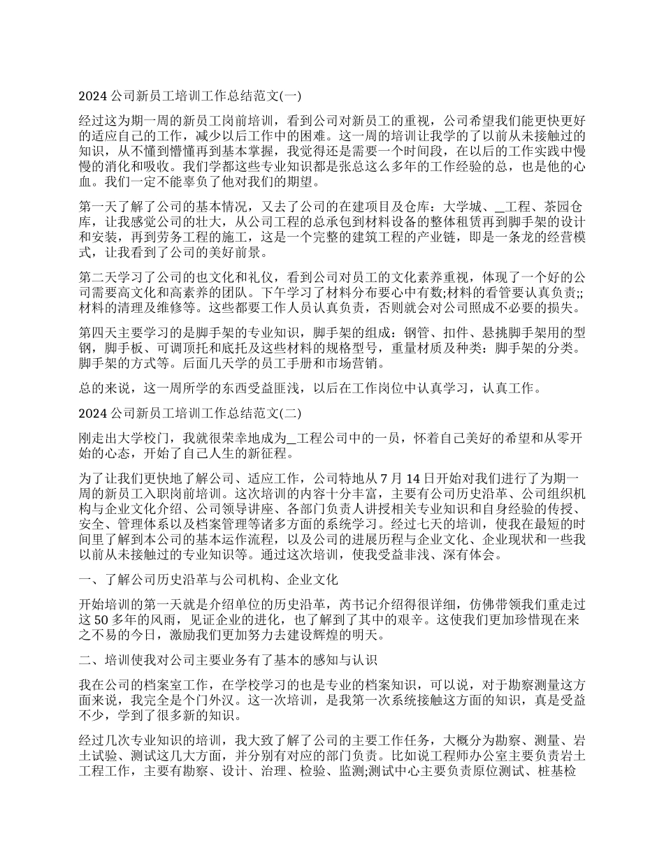公司新员工培训工作总结范本2024_第1页