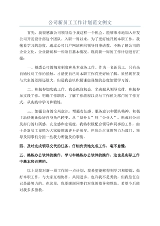 公司新员工工作计划范文例文