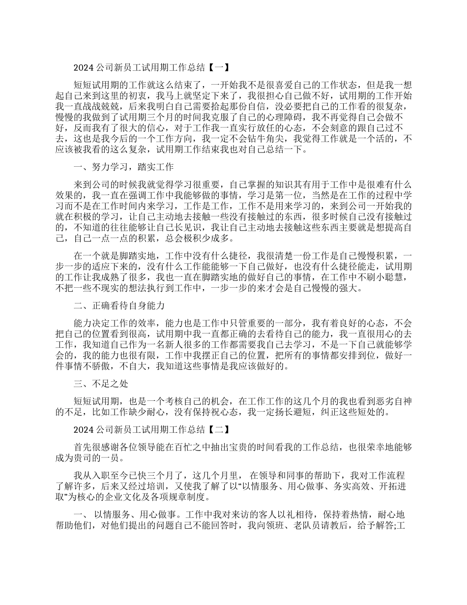 公司新员工试用期工作总结范本2024_第1页