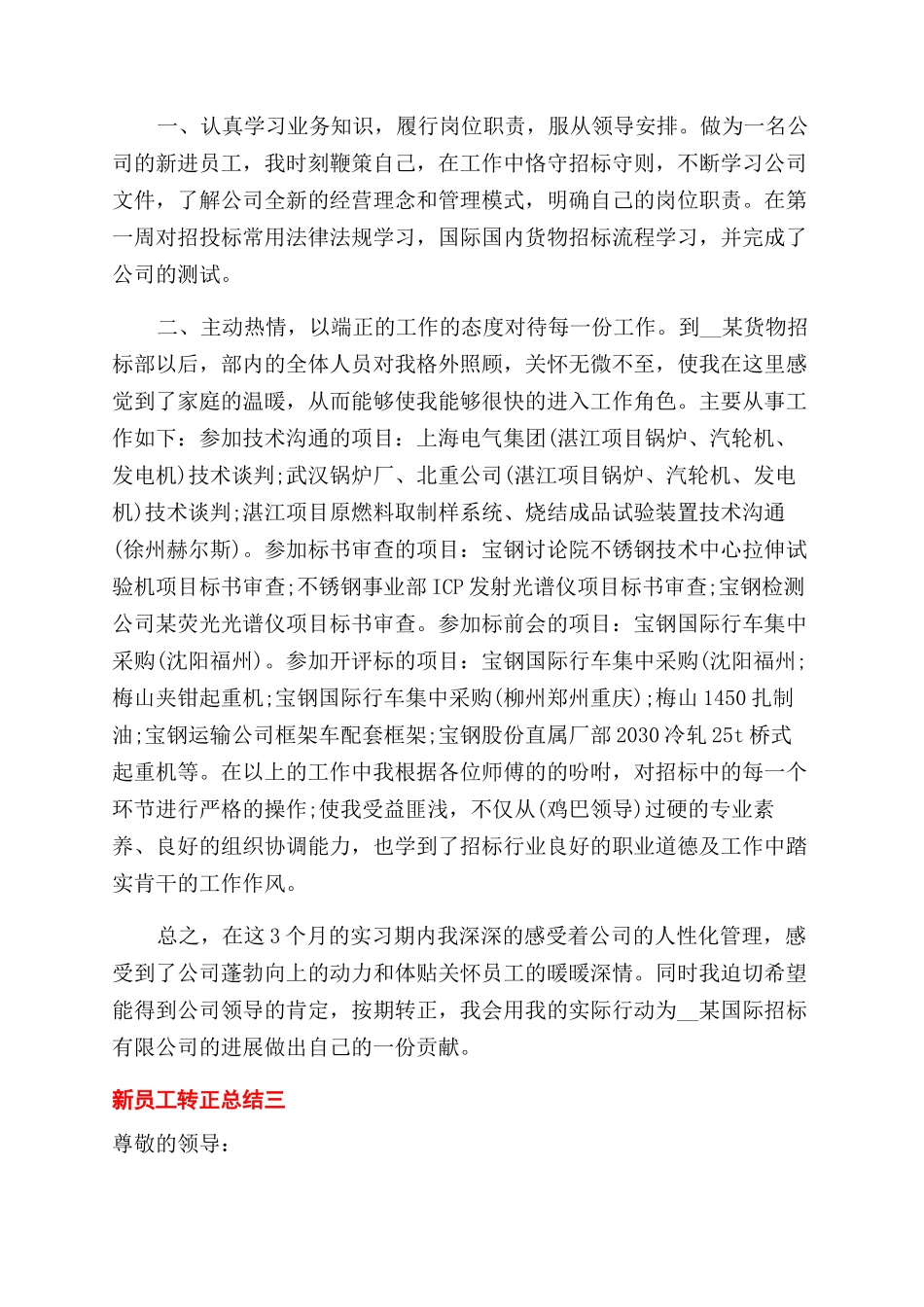公司新员工试用期转正总结范文报告范文_第3页