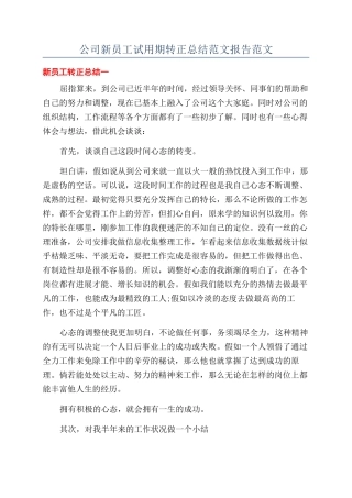 公司新员工试用期转正总结范文报告范文