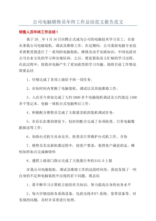 公司电脑销售员年终工作总结范文报告范文