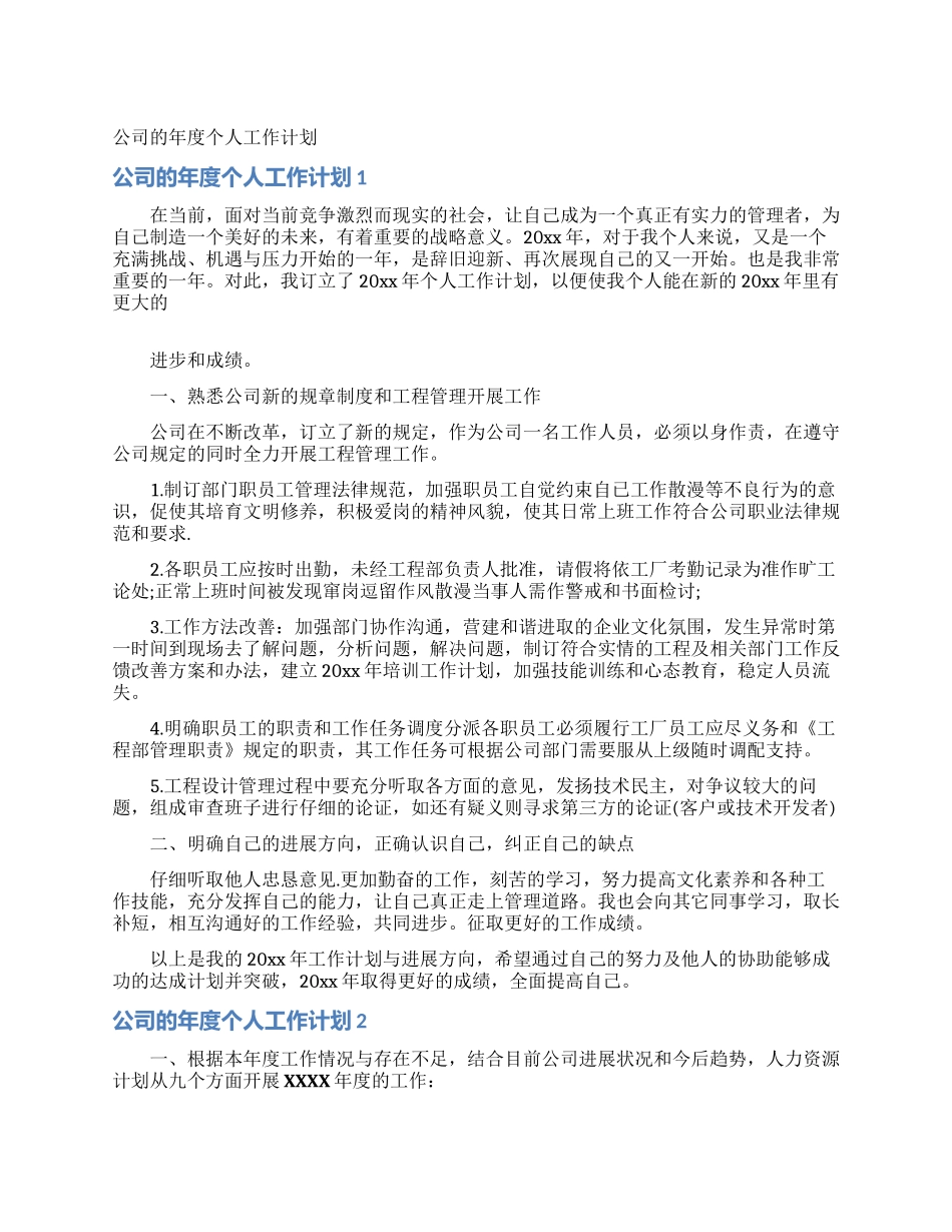 公司的年度个人工作计划_第1页