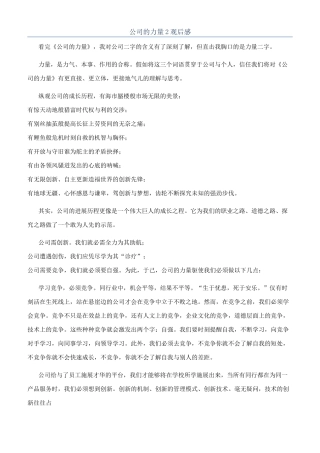 公司的力量2观后感