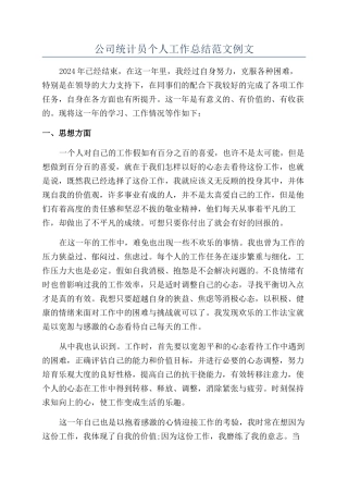 公司统计员个人工作总结范文例文