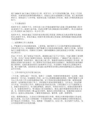 公司试用期满个人工作总结