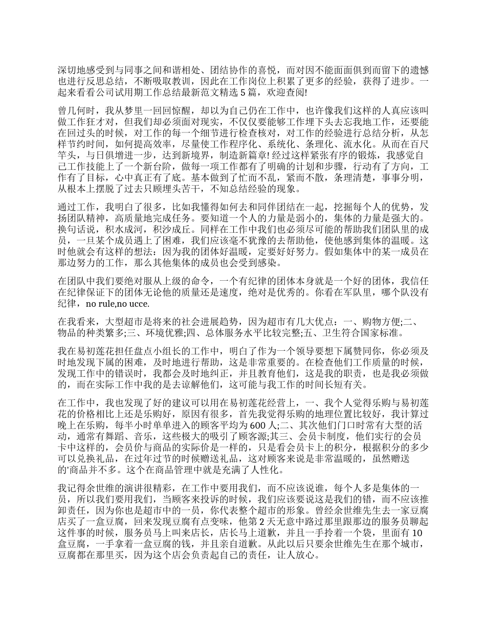 公司试用期工作总结范本2024_第1页