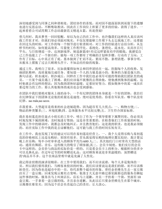 公司试用期工作总结范本2024