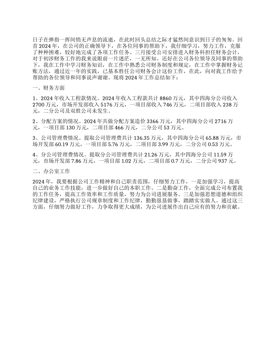 公司财务会计个人工作总结_第1页