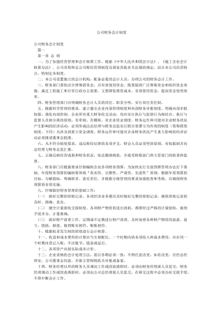 公司财务会计制度