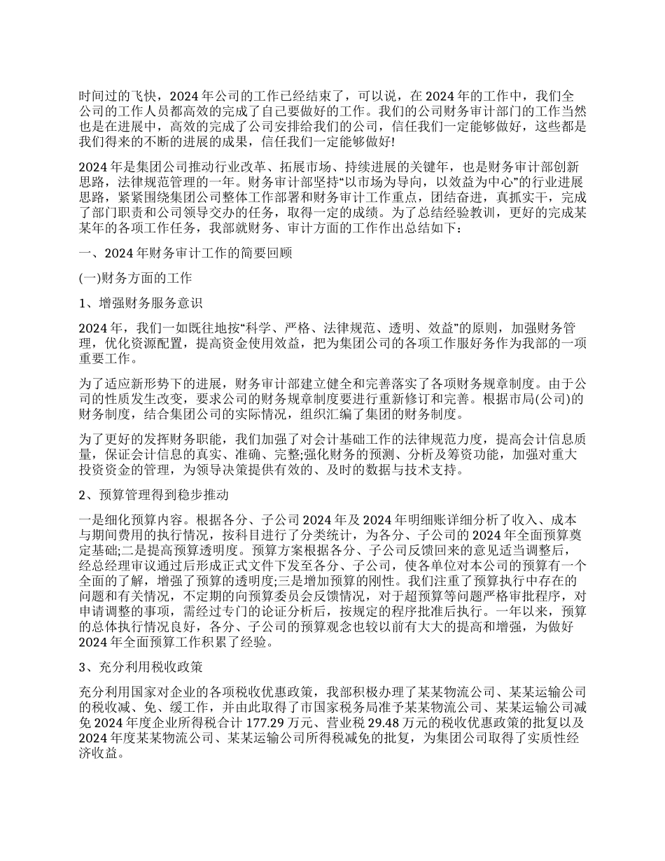 公司财务审计个人工作小结_第1页