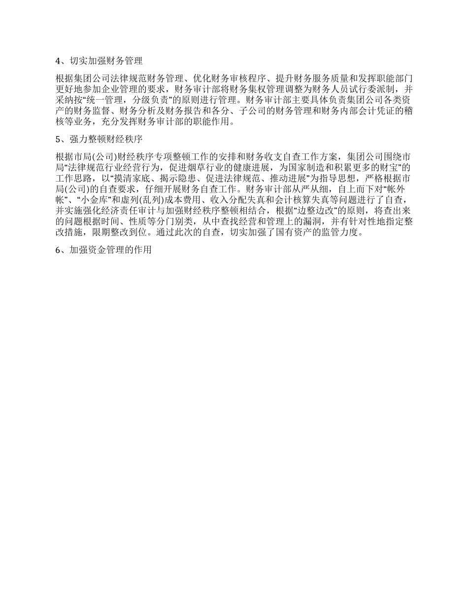公司财务审计个人工作小结_第2页