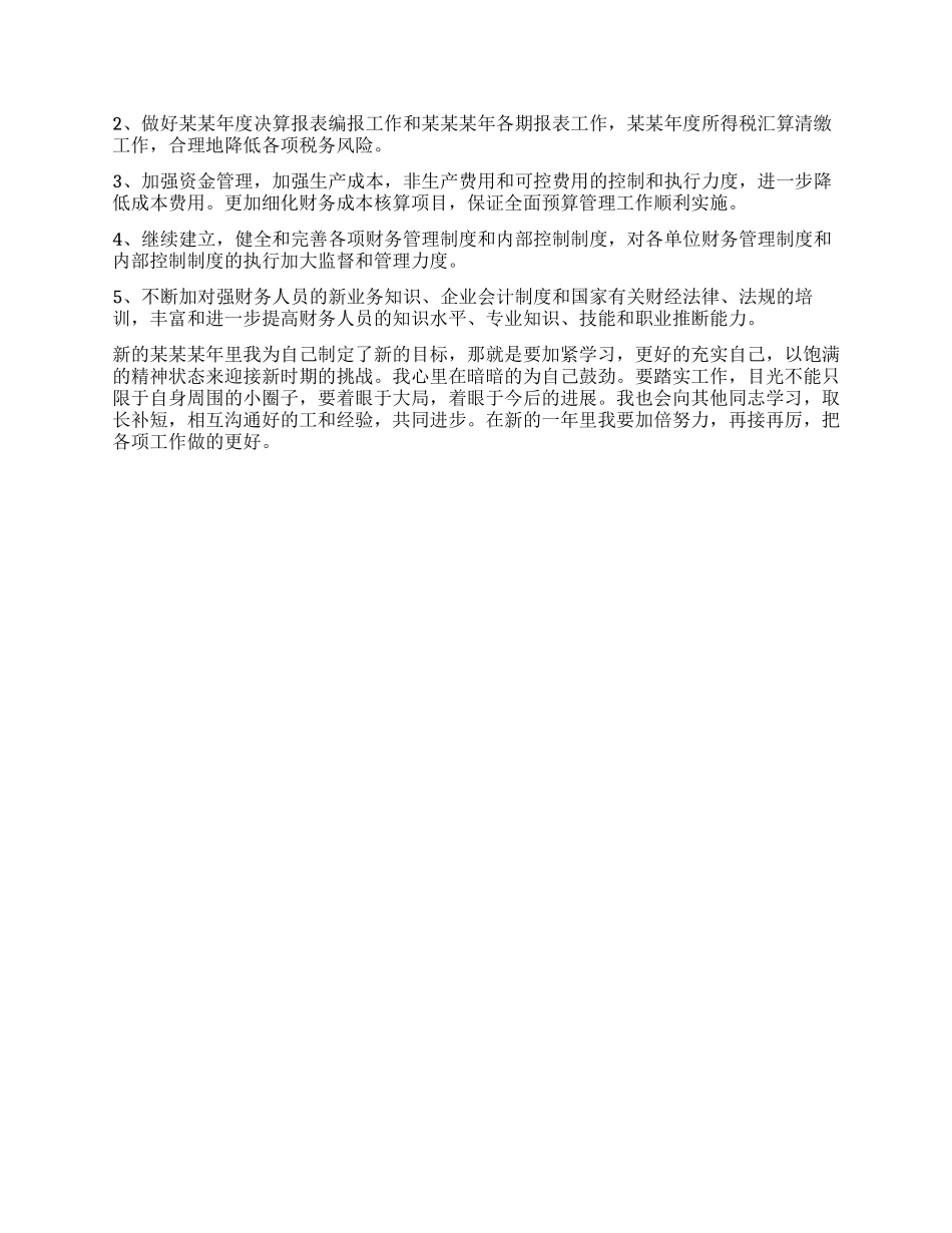公司财务工作者个人工作总结范本_第2页
