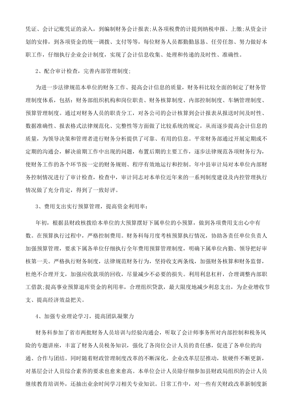 公司财务工作报告_第2页