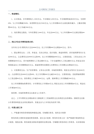 公司财务工作报告