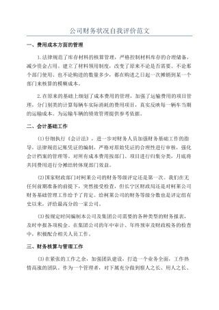 公司财务状况自我评价范文