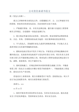 公司责任承诺书范文