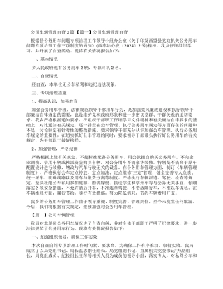 公司车辆管理自查报告