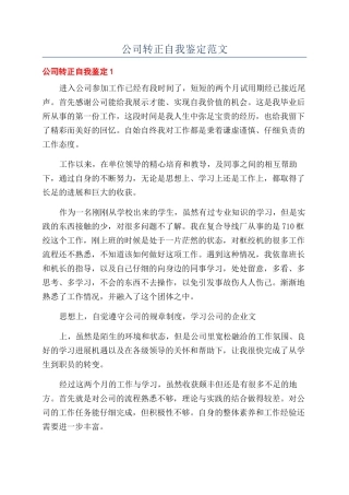 公司转正自我鉴定范文