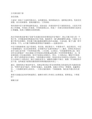 公司部长级干部述职报告