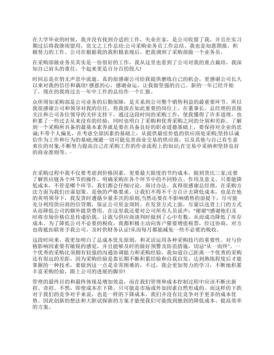 公司采购业务员年终工作总结_第1页
