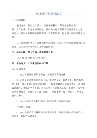 公益项目策划书范文